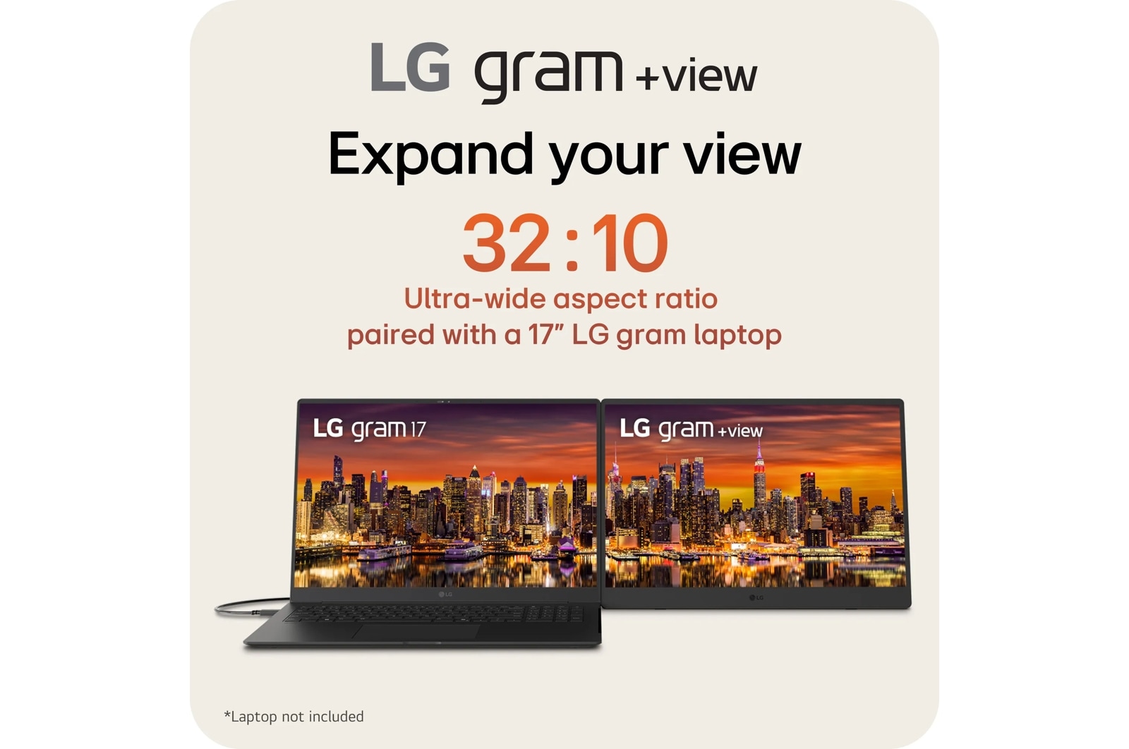 LG 17 Inch gram +view IPS Portable Monitor, Silver (17MT70.ASDU1), цвет: Wqxga (2560x1600) — фото 3