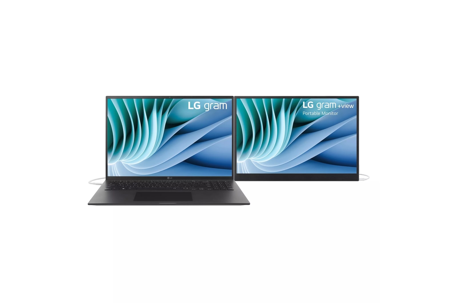 LG 16 Inch gram +view IPS Portable Monitor (16MR70.ASDU1), цвет: Wqxga 2560 X 1600 — фото 2