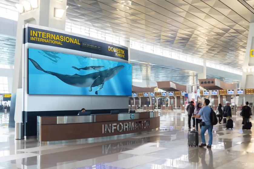 An information desk in a modern airport terminal with a large screen displaying whales underwater.