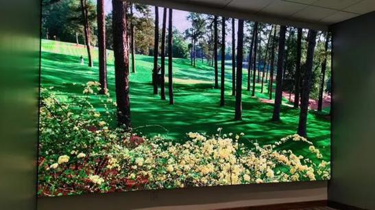 An LG Direct View LED display in a dark room, lit with a colorful forest scene.